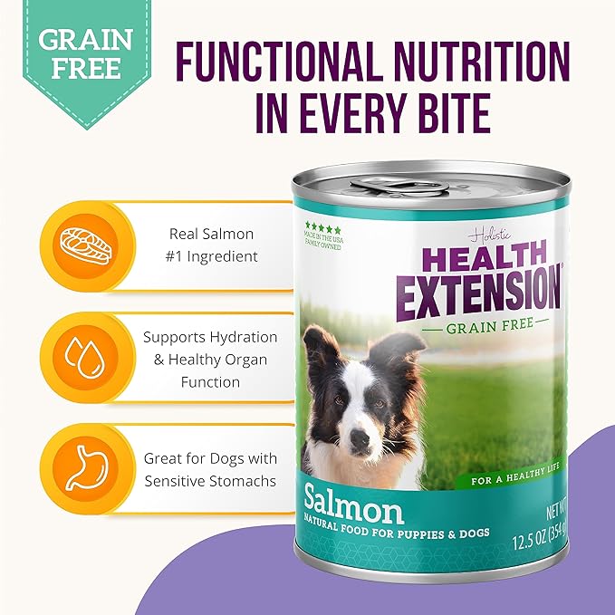 Health Extension Wet Dog Food, Gluten and Grain-Free, Healthy Natural Food Canned for Puppies, Salmon Recipe (12.5 Oz / 362 g) (Pack of 12)