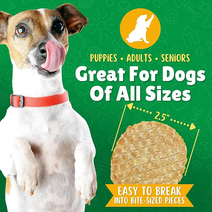 Lucky Premium Treats Chicken & Carrot Lucky Chips for Dogs – Healthy Chicken Dog Treats Made in USA – 2 Ingredient Chicken Jerky Dog Treats – 12 oz Bag
