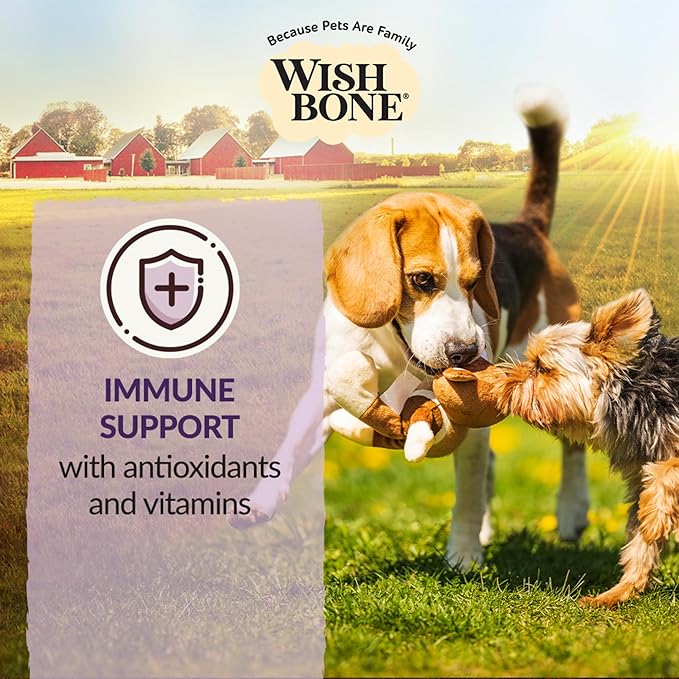 Wishbone Ocean New Zealand King Salmon Dry Dog Food, Gluten-Free, Grain-Free Recipe for Overall Pet Health - 4 lb