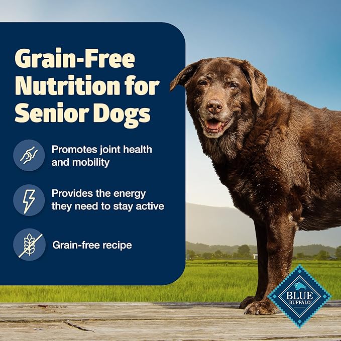 Blue Buffalo Freedom Grain-Free Senior Dry Dog Food, Provides Energy To Stay Active, Made in the USA With Natural Ingredients, Chicken & Potatoes, 4-lb. Bag
