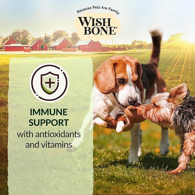 Wishbone Pasture New Zealand Lamb Dry Dog Food, Gluten-Free, Grain-Free Formula for Overall Pet Health - 4 lb