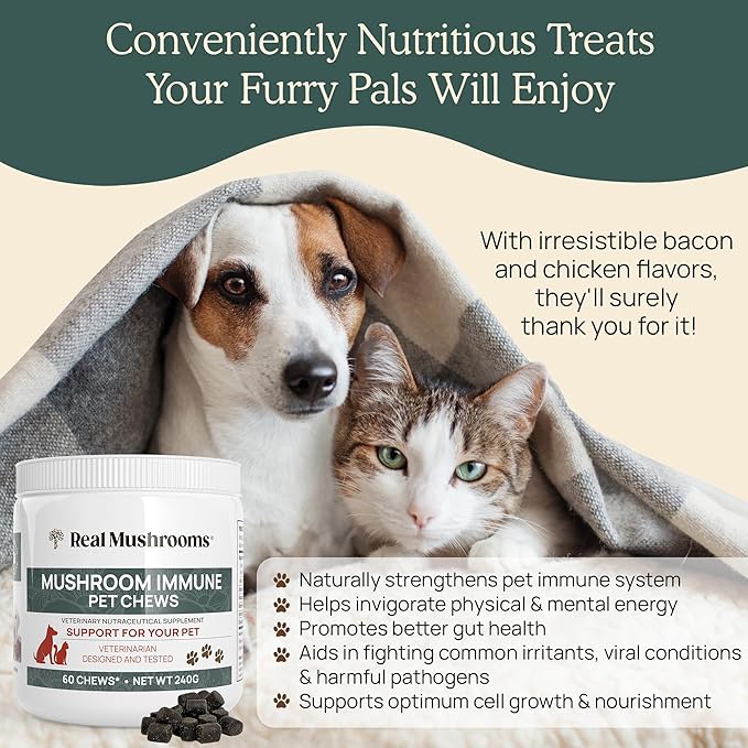 Mushroom Immune Support Pet Chews (60ct) treats for dogs – Immune booster supplements for pets with Ashwagandha, Astragalus, Blueberry, Olive Leaf, Acerola &Gut Health for Dogs and Cats