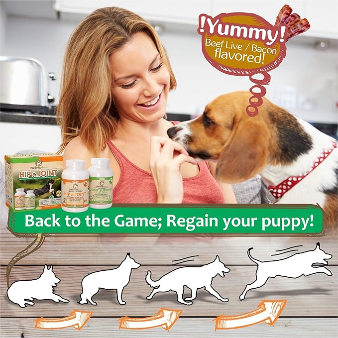 Hip and Joint Supplement for Dogs with Chondroitin, Collagen for Dogs, Turmeric, Boswellia, Dog Glucosamine for Dogs & MSM - Dog Arthritis Supplement. Extend Dog Joint Supplement Large Breed and Small