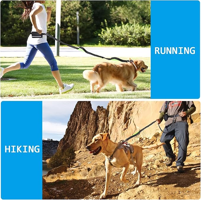 Hands Free Dog Leash with Zipper Pouch, Dual Padded Handles and Durable Bungee for Walking, Jogging and Running Your Dog, Waist Belt Dog Leash, Reflective Running Traction (Blue)