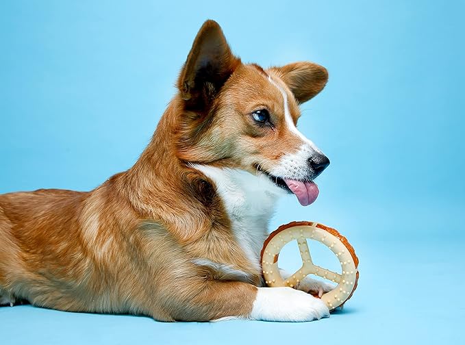 Hartz Chew ‘n Clean Chew Toy and Treat in One Chicken Flavored Ring Dog Toy, Medium