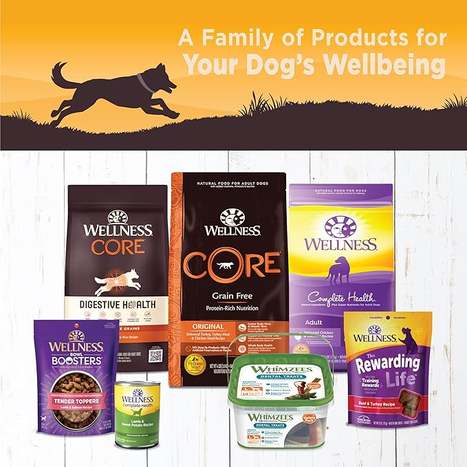 Wellness CORE 95% Natural Wet Grain Free Canned Dog Food, Chicken & Broccoli,12.5-Ounce Can (Pack of 12)