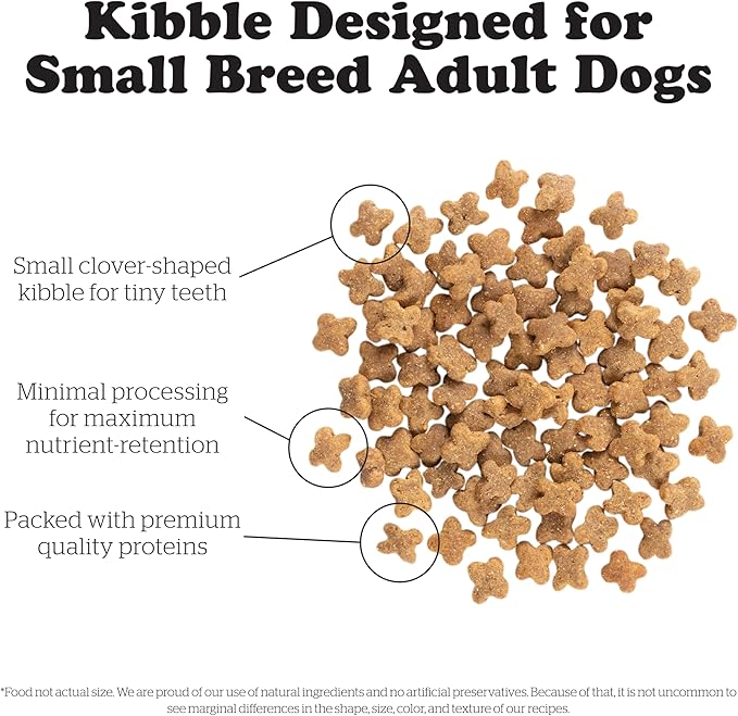 Bundle of Now Fresh Grain Free Small Breed Dog Food, 3.5 lb - Dry Puppy Food Recipe + Now Fresh Grain Free Small Breed Dog Food, 22 lb - Dry Dog Food Adult Recipe