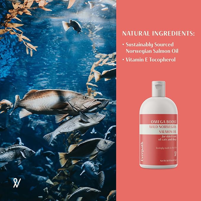 2024 Everpath Upgraded Salmon Oil Omega 3 Boost for Dogs and Cats - 16 Fluid Ounces/473mls | USA Made | Supports Coat, Skin, and Immune System | Norwegian Salmon Oil for Pets | Natural Solution