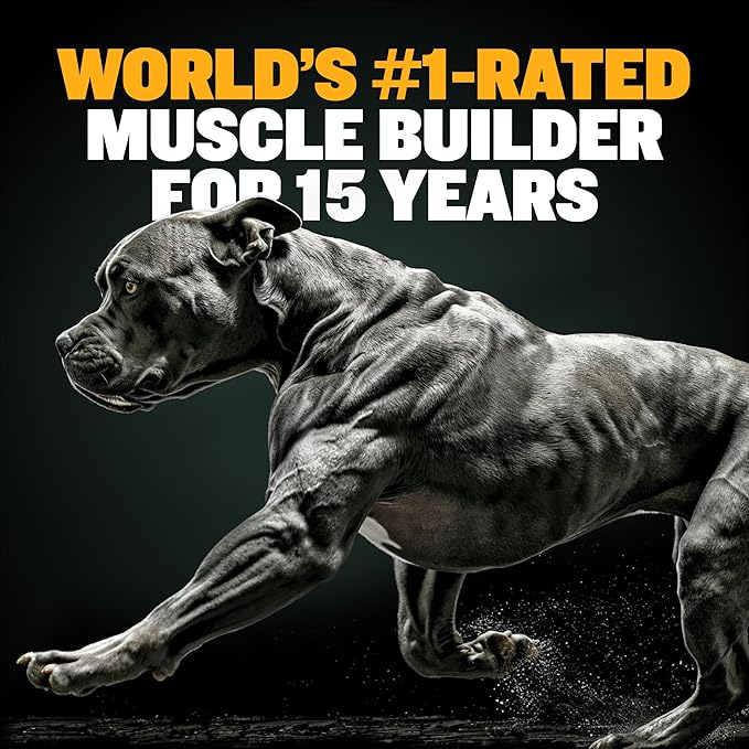 Bully Max Muscle Builder Soft Chews for Dogs and Puppies - Training Supplements Chews for Puppy and Adult Dog - Dog Food Treats for Muscle Gain - All Dog Breeds & Ages, 75 Delicious Soft Chews
