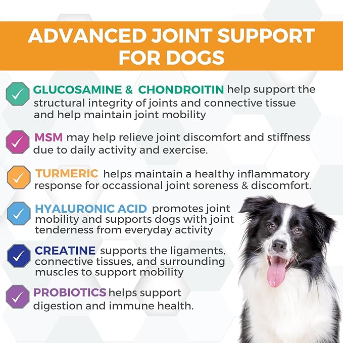 Nootie Progility Hip & Joint Supplement for Dogs, Dog Joint Support with Glucosamine and Chondroitin, 90 count