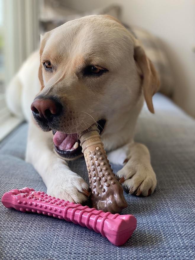 Nylabone Power Chew Breast Cancer Awareness Femur Bone Chew Toy for Dog, Indestructible Dog Toys for Aggressive Chewers, Chicken Flavor, X-Large/Souper (2 Count)