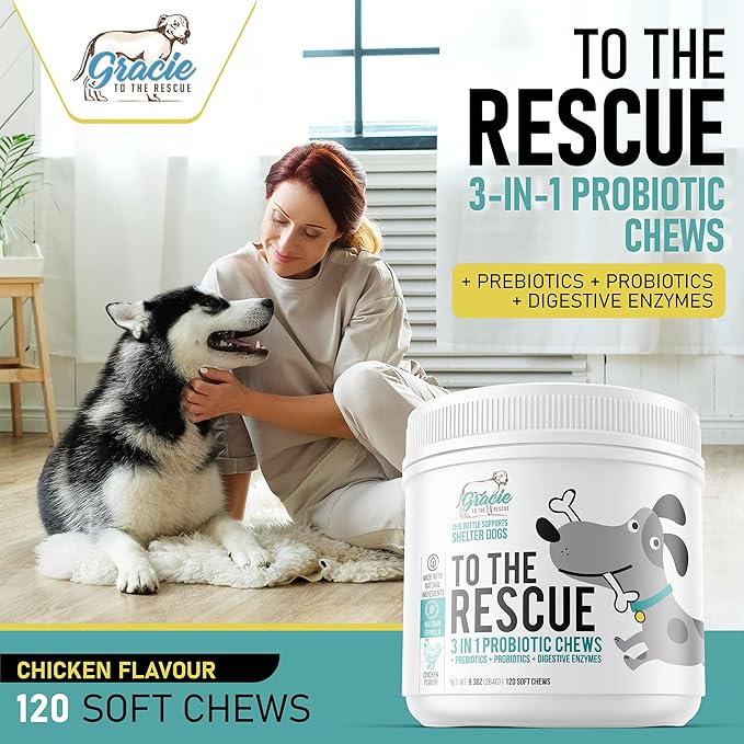 Probiotic Chews for Dogs, Support Digestive Health, Dog Probiotics and Digestive Enzymes, Dog Probiotic Chews, Probiotic Dogs, Puppy Probiotic, Pet Probiotics for Dogs - 120 Soft Chews