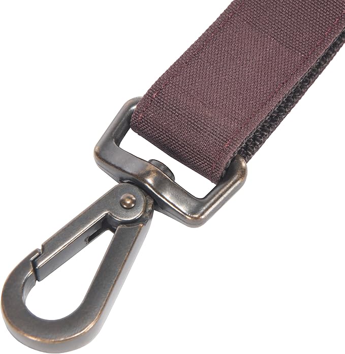 Carhartt Pet Durable Nylon Duck Leashes for Dogs, Reflective Stitching for Visibility, Deep Wine, Large