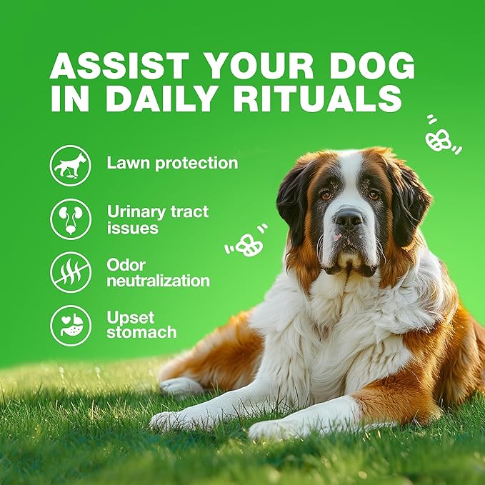 Grass Burn Spot Chews for Dogs - Dog Urine Neutralizer for Lawn - Grass Savers for Dog Urine - Dog Pee Lawn Spot Saver Caused by Dog Urine - Grass Treatment Rocks - Probiotics, Enzymes & Multivitamins
