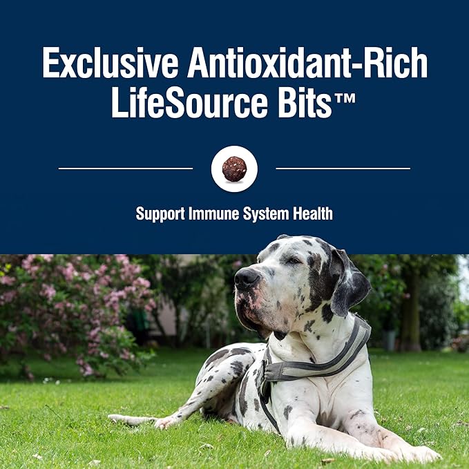 Blue Buffalo True Solutions Jolly Joints Adult Dry Dog Food, Supports Joint Health and Mobility, Made in the USA with Natural Ingredients, Chicken, 4-lb. Bag