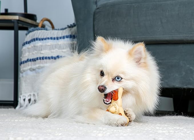 Hartz Chew ‘n Clean Chew Toy and Treat in One Chicken Flavored Tri-Point Dog Toy, Small