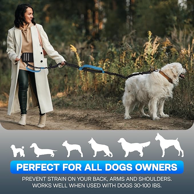 Hands Free Dog Leash with Waist Bag Fanny Pouch, Double Padded Handles, Adjustable Belt, Bungee Cord, Blue