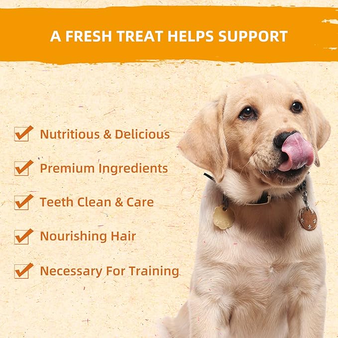 Jungle Calling Dog Treats, Chicken Jerky Dog Treats, High Protein Grain Free Chicken Dog Training Treats, Slow Roasted Chicken Strips for Dogs, Chewy Chicken Fillets, 10.6 oz