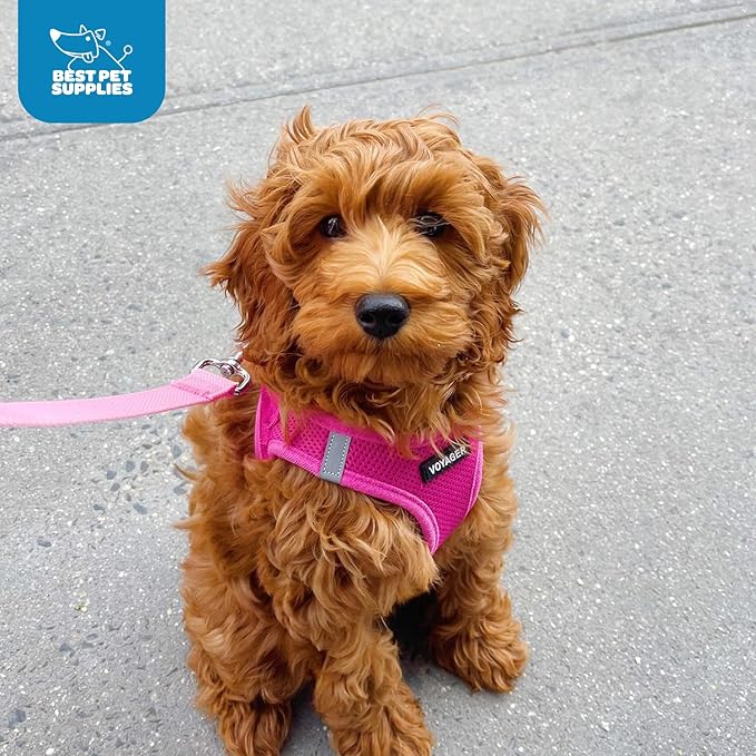 Voyager Step-in Air Dog Harness - All Weather Mesh Step in Vest Harness for Small and Medium Dogs by Best Pet Supplies - Harness (Fuchsia), X-Small