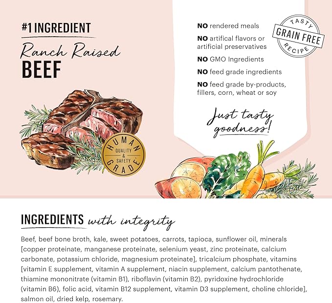The Honest Kitchen One Pot Stews: Roasted Beef Stew with Kale, Sweet Potatoes & Carrots Wet Dog Food, 10.5 oz x6
