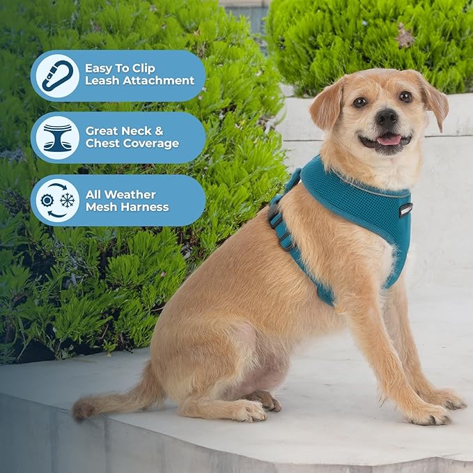 AeroLite No Pull Mesh Dog Harness with Lightweight, Soft, Breathable Chest Coverage, Reflective Stitching, and Adjustable Straps for Walking, Running, Training, Heavy Duty and Durable - Turquoise, XS