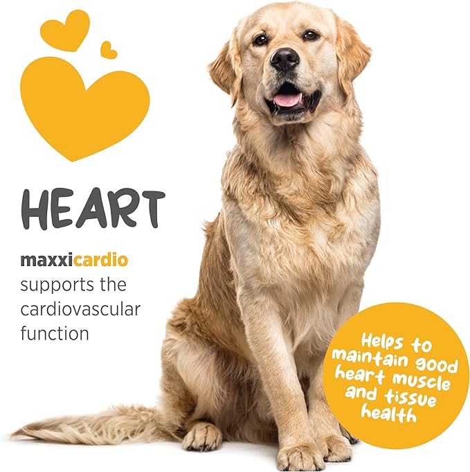 maxxicardio Heart and Cardiovascular Supplement for Dogs – Powder 5.3 oz