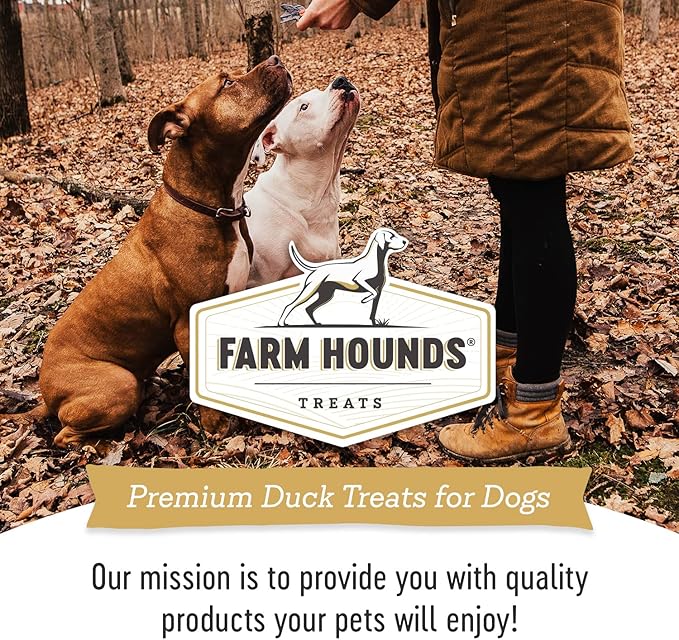 Farm Hounds Premium Bite-Sized Duck Training Treats for Dog, 100% Made from Humanely-Raised Ducks, Dog Trainer Treats Healthy Delicious Dog Bites, Made in USA, 2-Pack