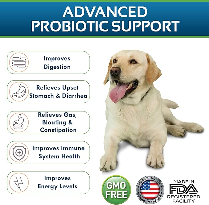 Dog Probiotics Dog Supplements - for Dog Diarrhea, Upset Stomachs, Yeast, Gas, Dog Allergy and Dog Immune System Support - Made in USA - 12 Targeted Strains 5 Billion CFU - 120 Scoops