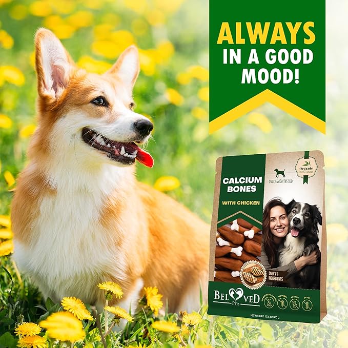 Dog Calcium Bones Wrapped Chicken & Rawhide Free Chew Treats - Pet Healthy Dried Snacks & Grain Free Meat - Bulk Best Chews for Christmas, Training Small & Large Dogs - Made for USA