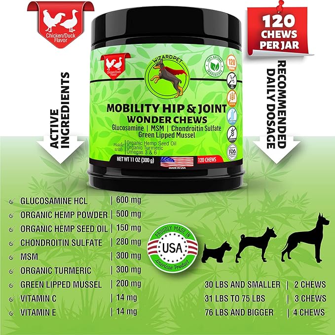 Advanced Hemp Hip and Joint Supplement for Dogs - Hemp Oil Glucosamine Chondroitin for Dog - Omegas - Turmeric - MSM - Green Lipped Mussel, Made in USA treats support mobility - 120 Chews