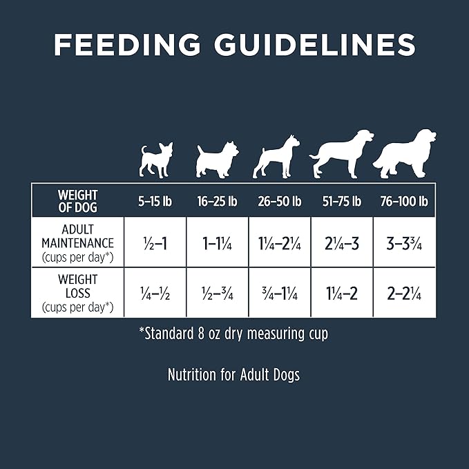 Instinct Raw Boost Skin & Coat Health Grain Free Recipe with Real Chicken Natural Dry Dog Food by Nature's Variety, 18 lb. Bag