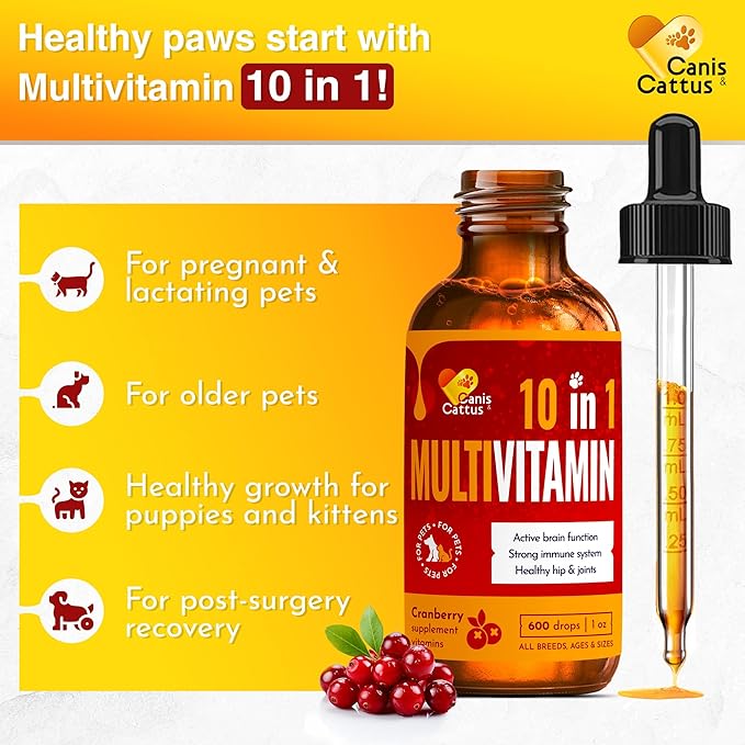 Vitamins for Dogs | Cat Vitamins | Liquid Multivitamin for Dogs | Multivitamin for Cats | Dog Vitamins Multivitamin | Cat Vitamin | Pure Ingredients | 1 oz