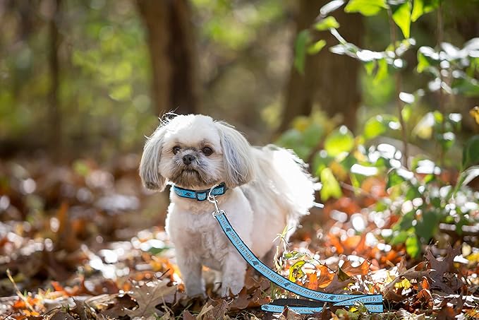 NFL PET Leash, Large, Carolina Panthers Dog Leash, Football Team Leash for Dogs & Cats. A Shiny & Colorful Dog & Cat Leash with Embroidered Team Name/Logo Licensed by the NFL