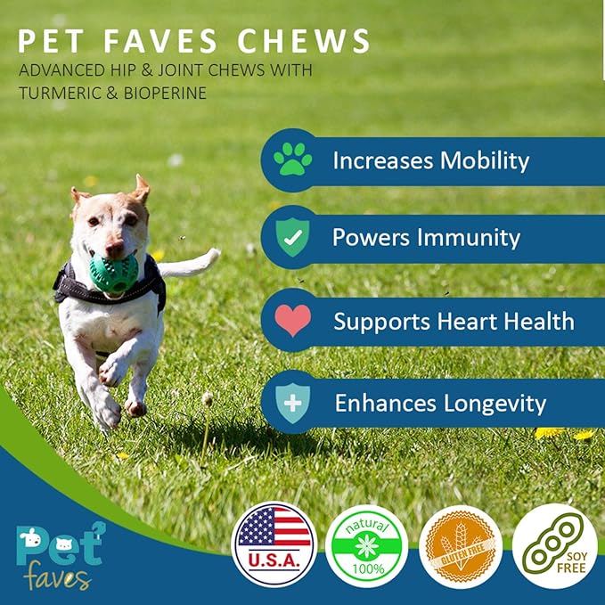 Natural Dog Hip & Joint Supplement for Dogs Arthritis Pain Relief. Turmeric Curcumin with Black Pepper for Anti Inflammatory. Tumeric MSM Glucosamine Chondroitin for Dogs Healthy Joints - 90 Chews