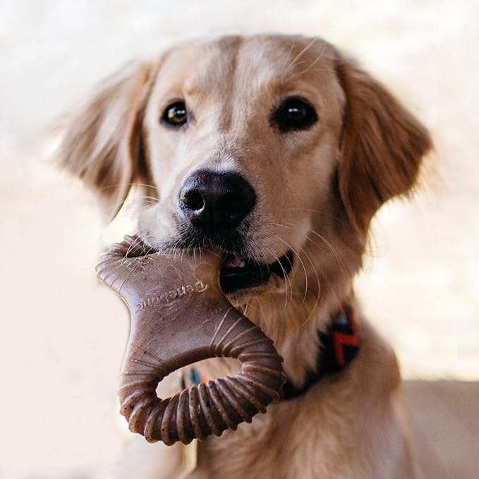 Benebone Dental Durable Dog Chew Toy for Aggressive Chewers, Real Chicken, Made in USA, Small
