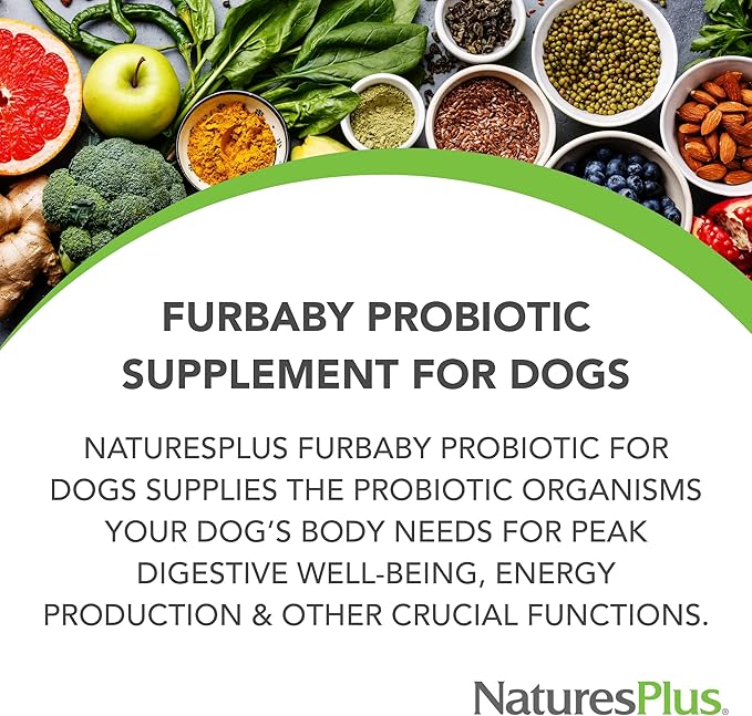 NaturesPlus FurBaby Probiotic for Dogs - 9.5 oz - Supports Digestive, Heart, Liver & Immune Health - 60 Servings