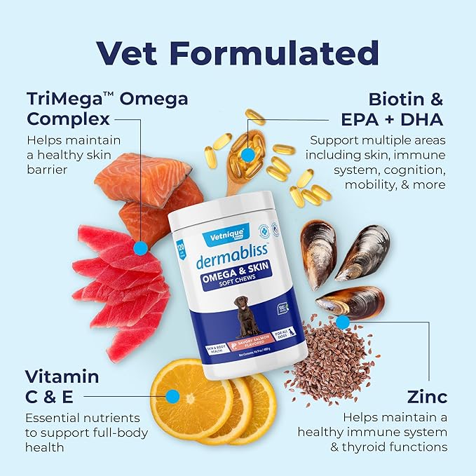 Vetnique Dermabliss Omega & Skin Health Fish Oil for Dogs Soft Chews Healthy Skin & Coat for Dogs with Biotin & DHA - Hickory Salmon Dog Treats (120ct Chews)