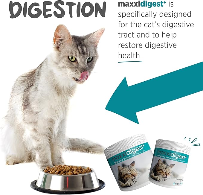 maxxidigest+ Probiotics, Prebiotics and Digestive Enzymes - Digestive and Immune Support Supplement for Cats – 3.2 oz