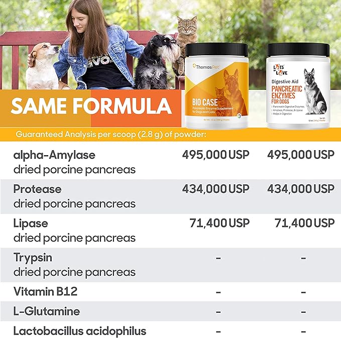 Pancreatic Enzymes for Dogs (Thomas Pet Bio Case Same Formula) - Lots of Love Pet Products - 12 Oz Powder