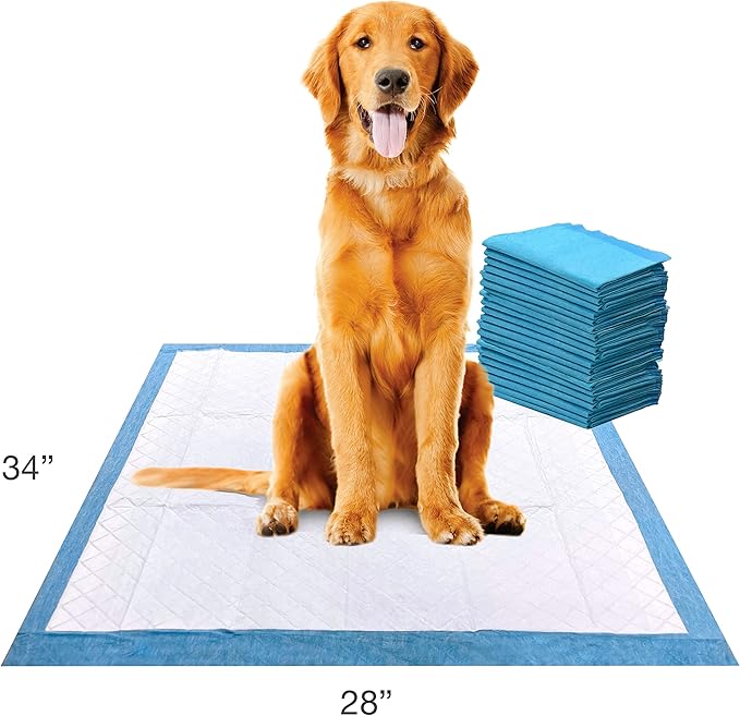 Four Paws Wee-Wee Superior Performance XL Pee Pads for Extra Large Dogs, Leak-Proof Floor Protection Dog & Puppy Quilted Potty Training Pads, Unscented, 28" x 34" (21 Count)