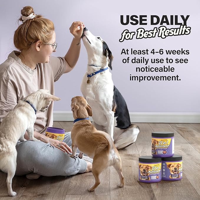 Charlie & Buddy Dog Multivitamin 21 in1 - Dog Vitamins and Supplements with Vitamin C Multivitamin for Dogs - Chicken Flavour Dog Vitamins Soft Chews - 90ct