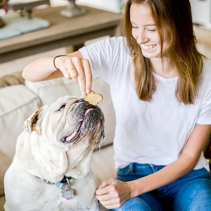 Cloud Star Wag More Bark Less - Dog Treats - Crunchy Biscuits - Grain Free Chicken & Sweet Potato - 14 oz Box