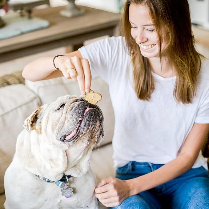 Cloud Star Wag More Bark Less - Dog Treats - Crunchy Biscuits - Grain Free Chicken & Sweet Potato - 14 oz Box (Pack of 2)