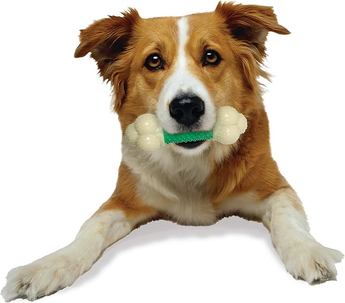Nylabone Power Chew Double Action Barbell Bone Chew Toy, Durable Dog Toy, Bacon Flavor, Medium - Up to 30 lbs. (1 Count)