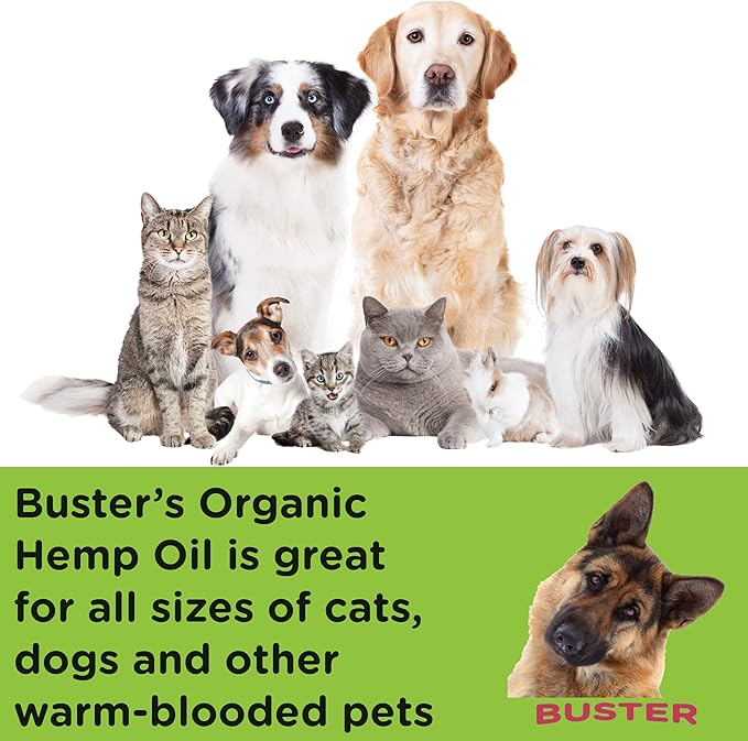 2-PACK Buster's Organic Hemp Oil for Dogs & Pets, 4-MONTH Supply, Large 60ml Bottles, 555,000 Max Potency, Joint Relief, Calming, Miracle Formula, Perfectly Balanced Omega 3, 6, 9, USA