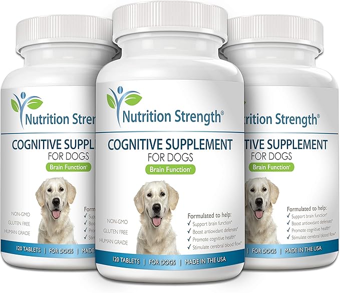 Cognitive Support for Dogs, Promotes Dog Brain Health, Mental Support for Old Dogs, Supplement for Dogs with Cognitive Difficulties, 120 Chewable Tablets