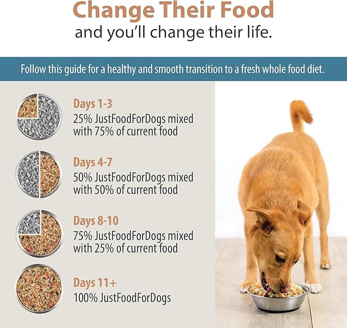 JustFoodForDogs Pantry Fresh Wet Dog Food, Complete Meal or Dog Food Topper, Lamb & Brown Rice Human Grade Dog Food Recipe - 12.5 oz (Pack of 6)