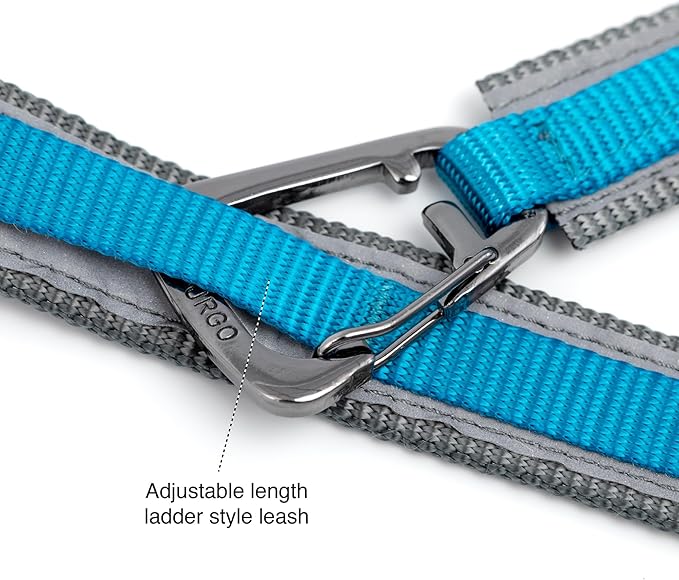 Kurgo 6 in 1 Quantum Leash, Hands Free Leash for Dogs, Running Belt Lead, Crossbody & Waist Belt Style, Reflective, Carabiner Clip, for Training, Hiking, or Jogging, 4 colors