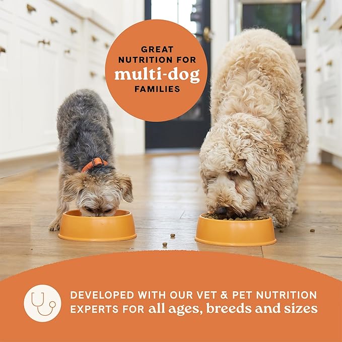 Canidae All Life Stages Real Chicken & Poato Recipe – High Protein and Grain-Free Premium Dry Dog Food for All Ages, Breeds, and Sizes– 24 lbs.