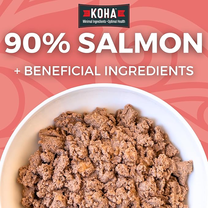 KOHA Limited Ingredient Diet Salmon Entrée for Dogs - Dog Food Toppers for Picky Eaters - Sensitive Stomach Canned Dog Food - Pate Dog Food - 13 oz Pack of 12